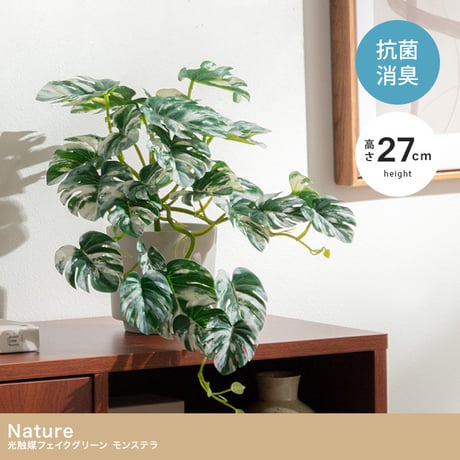 【高さ27cm】光触媒人工観葉植物 モンステラ 幅35cm×奥行45cm×高さ27cm コンパクト 天然木 お部屋に気軽に飾れて空間を美しく彩るフェイクグリーン 本物の植物のようなリアルな質感とイン