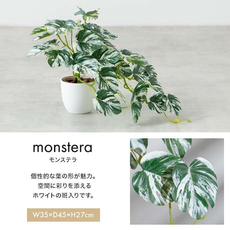 【高さ27cm】光触媒人工観葉植物 モンステラ 幅35cm×奥行45cm×高さ27cm コンパクト 天然木 お部屋に気軽に飾れて空間を美しく彩るフェイクグリーン 本物の植物のようなリアルな質感とイン