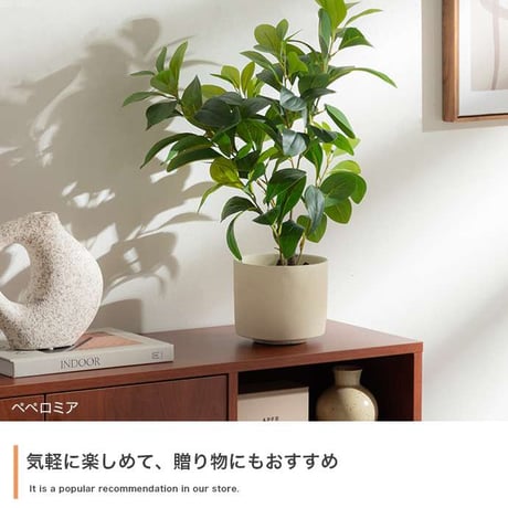 【高さ27cm】光触媒人工観葉植物 モンステラ 幅35cm×奥行45cm×高さ27cm コンパクト 天然木 お部屋に気軽に飾れて空間を美しく彩るフェイクグリーン 本物の植物のようなリアルな質感とイン