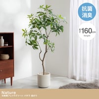 【高さ160cm】光触媒人工観葉植物 パキラ 曲がり 幅72cm×奥行50cm×高さ160cm オフィス 天然木 組立品 お部屋に気軽に飾れて空間を美しく彩るフェイクグリーン 本物の植物のようなリア
