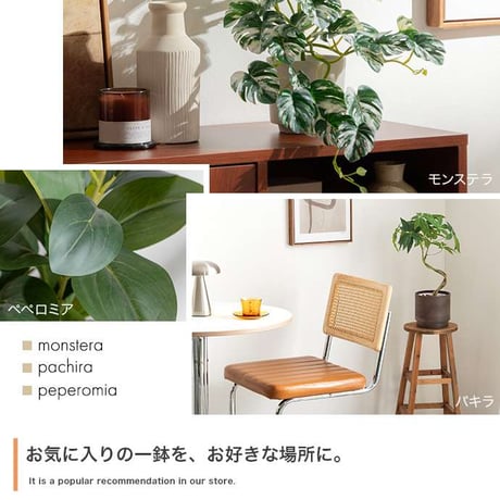 【高さ27cm】光触媒人工観葉植物 モンステラ 幅35cm×奥行45cm×高さ27cm コンパクト 天然木 お部屋に気軽に飾れて空間を美しく彩るフェイクグリーン 本物の植物のようなリアルな質感とイン