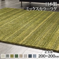 ラグ 洗える 防ダニ ミックスカラーラグ 〔ルーナ〕 200x200cm 正方形 2畳 二畳 防音 防炎 カーペット ラグマット ウォッシャブル 床暖房 ホットカーペット対応 リビング 滑り止め スミ