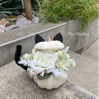 白ねこカボチャ🐾《 アレンジ※税込, 送料込, 箱 梱包緩衝材込 》