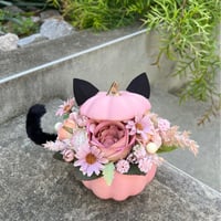 再販❣️桃ねこカボチャ🐾 《 アレンジ※税込, 送料込, 箱 梱包緩衝材込 》