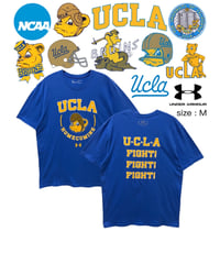 NCAA　UCLA Bruins　Vintage Logo　M　青　USA古着