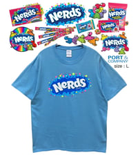 NeRds　Tシャツ　L　水色　USA古着