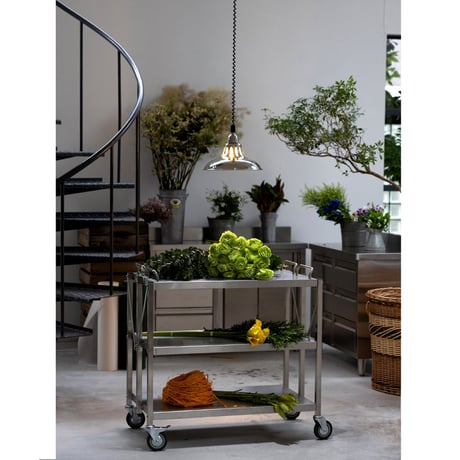 EXTENSION PENDANT WORK LAMP CHROME