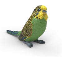 14939　セキセイインコ
