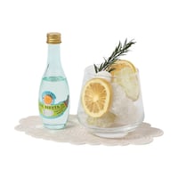 COCKTAIL DIFFUSER SOL SIESTA
