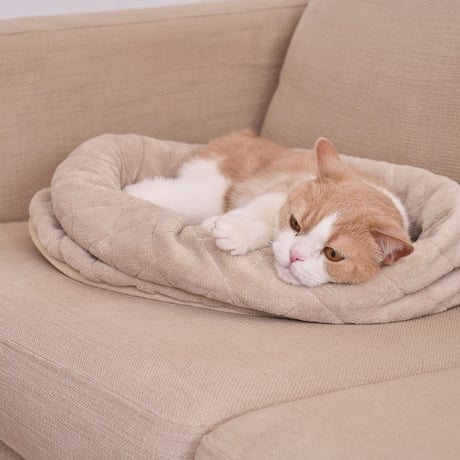 まるごと洗えるペットベッド 高さが調節できる猫用