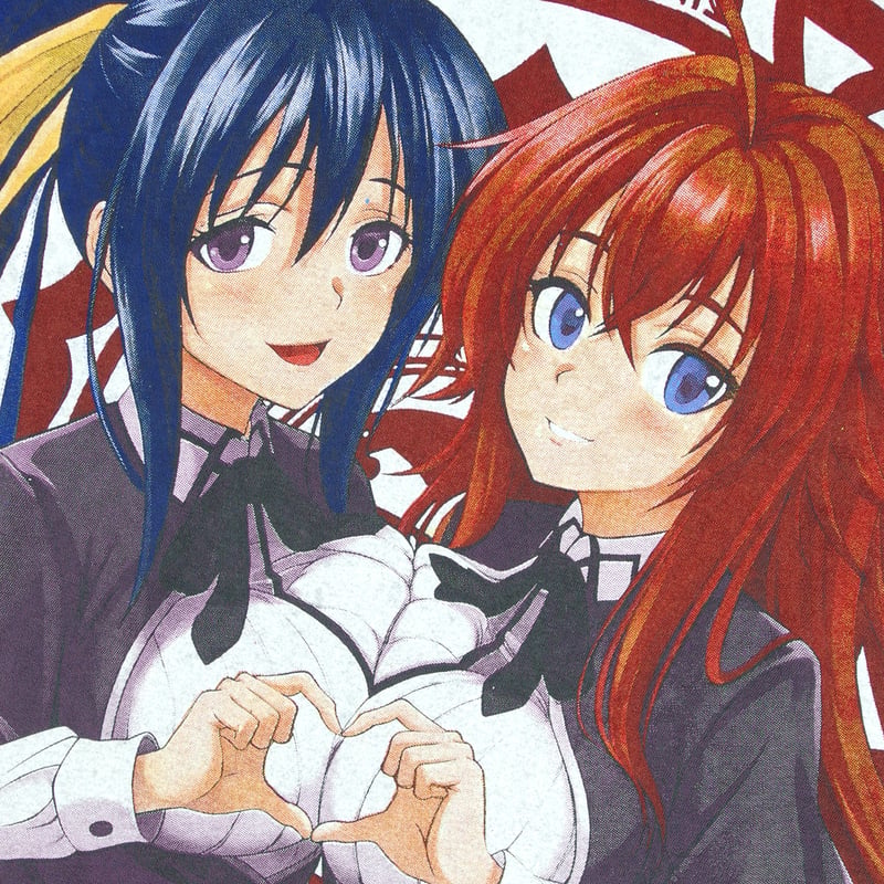 High School DxD ハイスクールD×D 学園ラブコメ ハイスクールディー