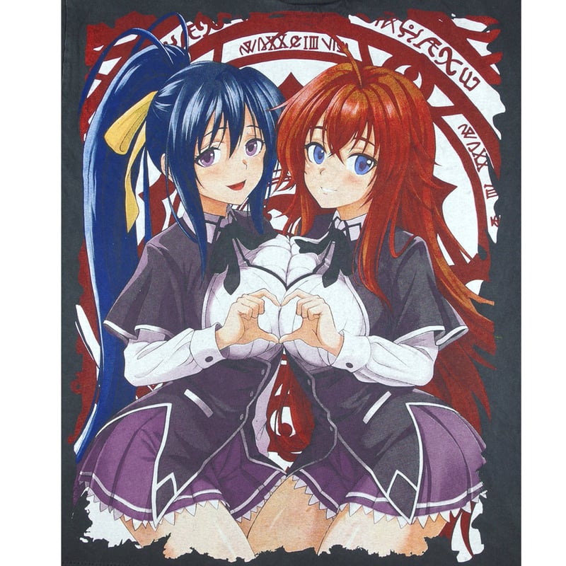 High School DxD ハイスクールD×D 学園ラブコメ ハイスクールディー