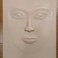 全顔シート　シリコン
