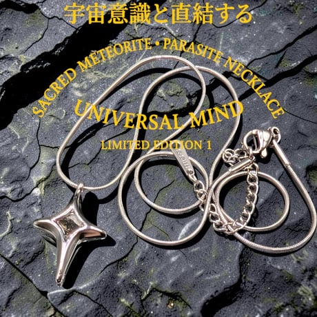 パラサイト隕石 | STORES