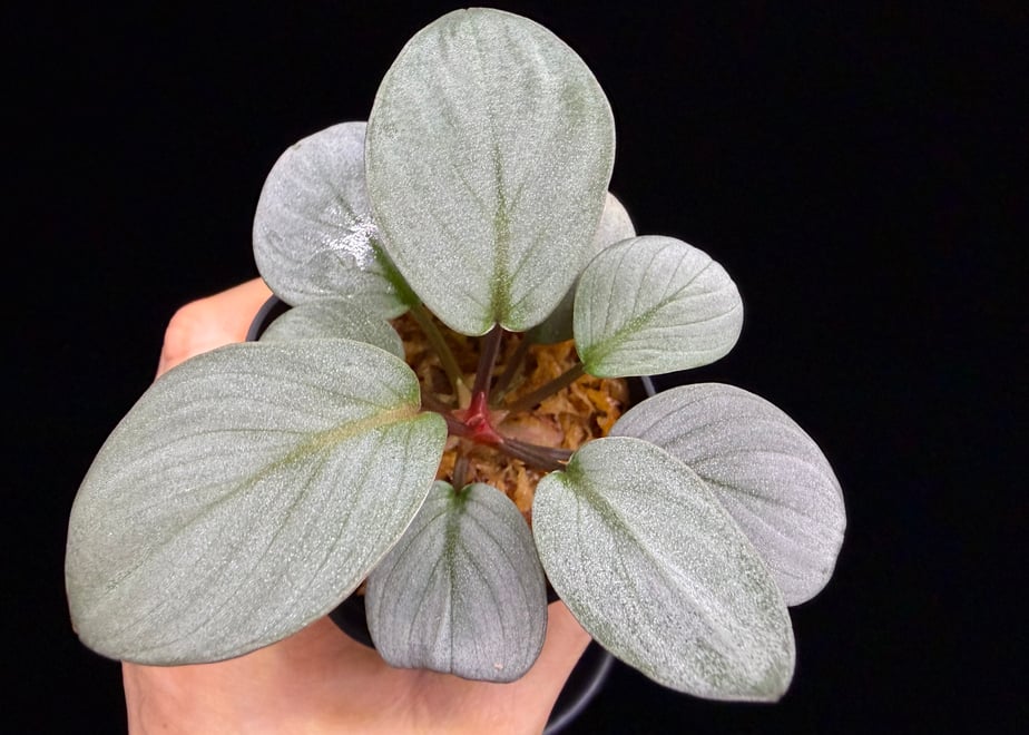 68bf50278200899c30e33b10