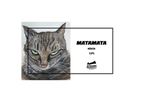 MATAMATA【缶】6本パック