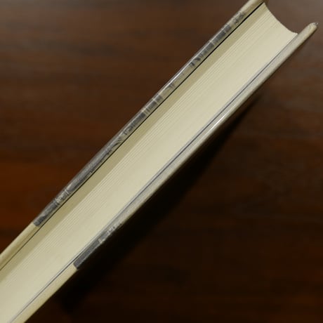 ブダペストの世紀末　都市と文化の歴史的肖像　ジョン・ルカーチ　早稲田みか訳　白水社