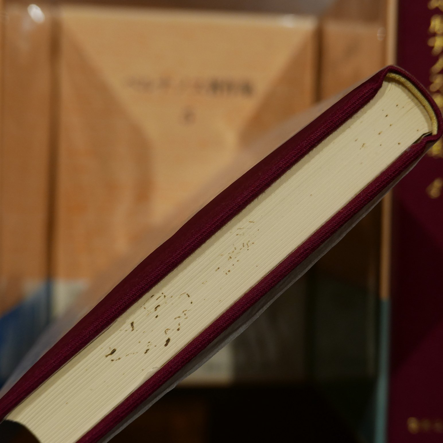 ジョルジュ・ベルナノス著作集 全六巻揃 | 書肆 原光