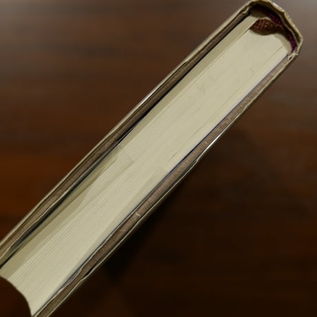 ブダペストの世紀末　都市と文化の歴史的肖像　ジョン・ルカーチ　早稲田みか訳　白水社