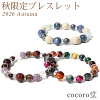【2026年秋限定】 ブレスレット ※説明書付き ゴム使用 【メール便送料無料】 autumn11