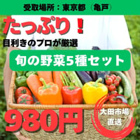 ※7/24(金)のみ受取可能Be ACTO亀戸 ここまちマルシェ新鮮便【大田市場で76年！目利きのプロが厳選した”旬の野菜たっぷり”5種セット】(7/20締切)