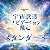 【2027 宇宙意識ナビゲーション鑑定】②【スタンダード】2027年の流れをしっかり知りたい