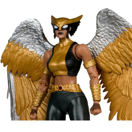 Mcfarlane Toys Collectors Edition #63 Hawkgirl (Kendra Saunders) 7” Action Figure（通常版）