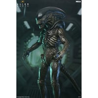 【予約】NECA Alien: Earth (2025) - Ultimate Xenomorph 7" Action Figure