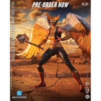 【予約】Mcfarlane Toys Collectors Edition #63 Hawkgirl (Kendra Saunders) 7” Action Figure（通常版）