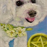 犬のタロット原画『PAGE OF PENTACLES ペンタクルのペイジ』