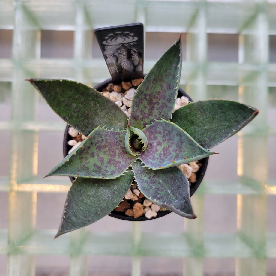 69abb3fc86db81cb0e0caa11