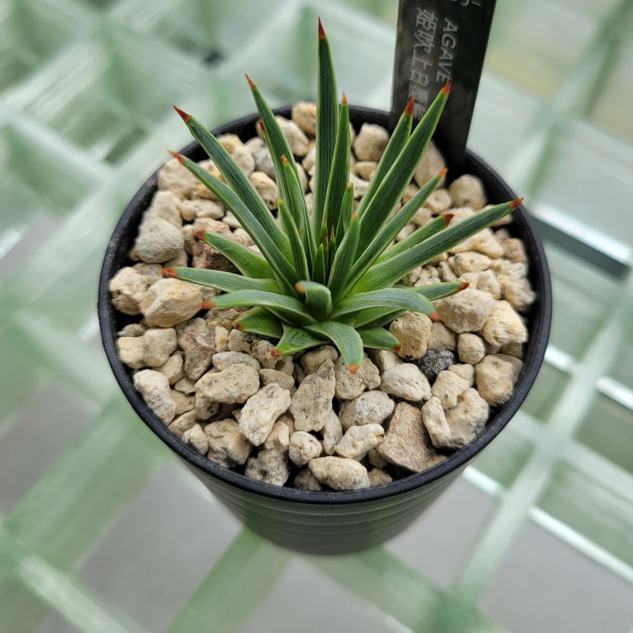 6a4b93592358c66ba9752128