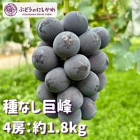 お得用】 種なし巨峰 5房：約1.8kg | ぶどうのにしかわオンラインショップ