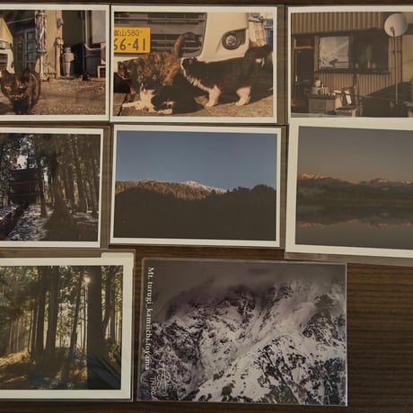 zine | STORES