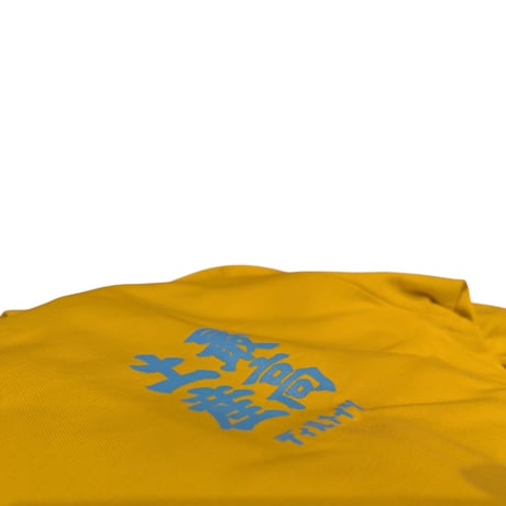 Dillmates S/S T-SHIRTS/MIKAERI-01