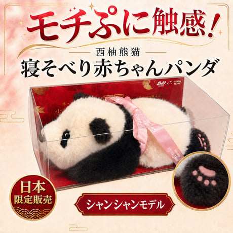 寝そべり赤ちゃんパンダ シャンシャン