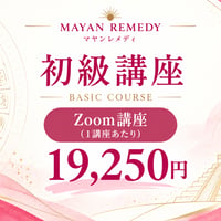 初級講座：Zoomでのオンライン講座
