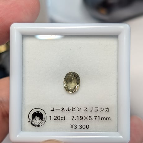ITEM | 鈴木屋byJOA STORE