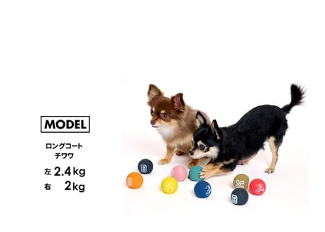 《LIFELIKE》ラテックス　カラーボールおもちゃ