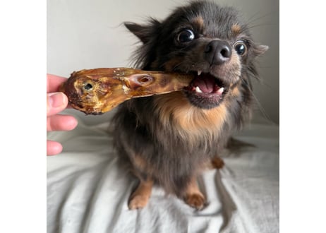 《Emma‘s MOGUMOGU》鴨頭ジャーキー