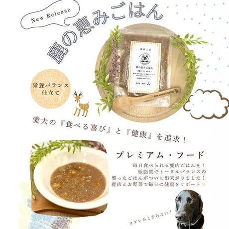 《鹿肉工房》鹿の恵みごはん