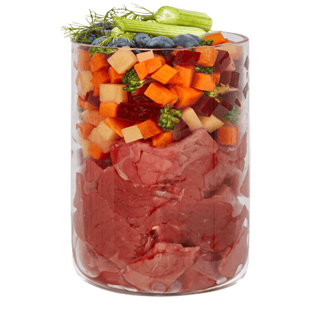 《Terra Canis》MARKET RAGOUT ビーフ