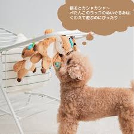 《BITE ME》ハグミーラッコおもちゃ