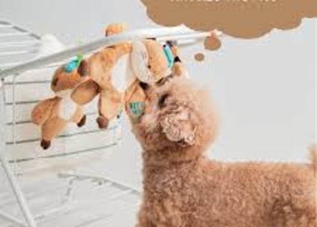 《BITE ME》ハグミーラッコおもちゃ