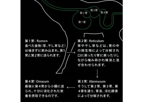 《NUTRIPE》Natural エアドライ　チキンwithグリーントライプ