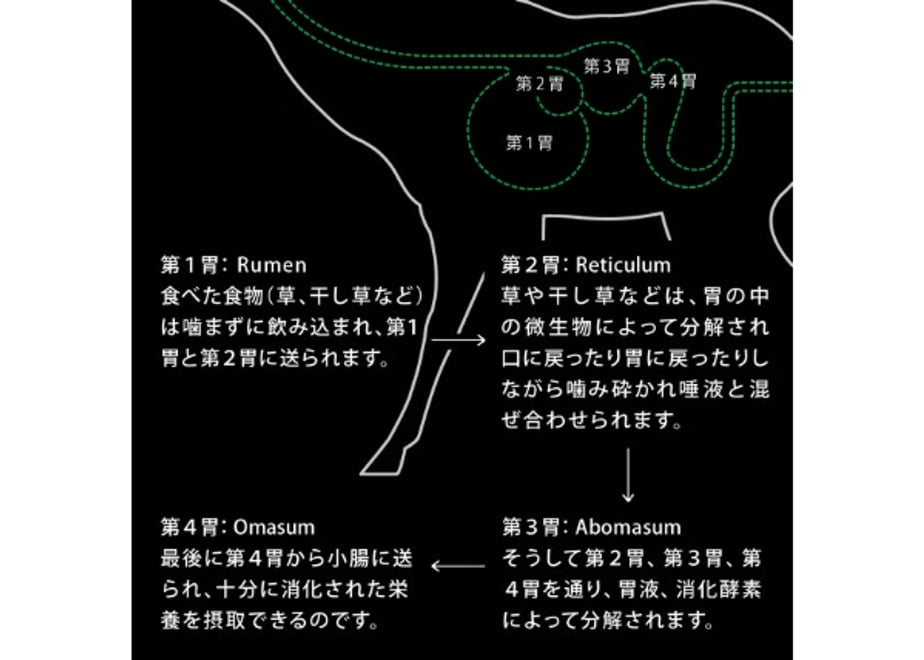 6a757c20ce75b20cc31e1876