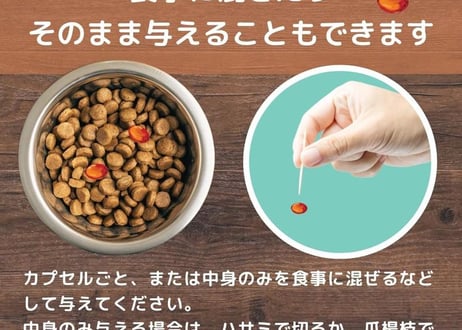 《PURE PETS》BI−ACTIVE（バイ−アクティブ）