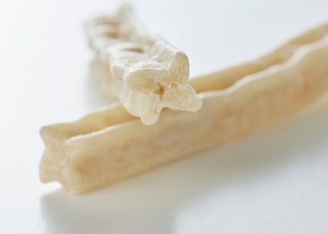 《White Fox》マヌカハニーのはみがきガム