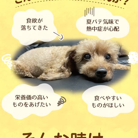 《鹿肉工房》ボーンブロス