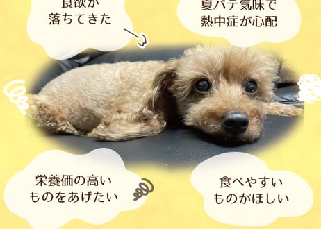 《鹿肉工房》ボーンブロス
